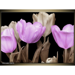 Obraz fialové tulipány