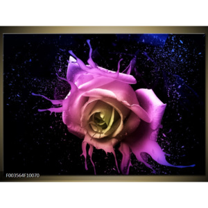 Obraz Květ růže - růžová a žlutá