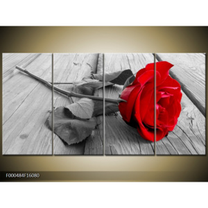 Obraz Rudá růže