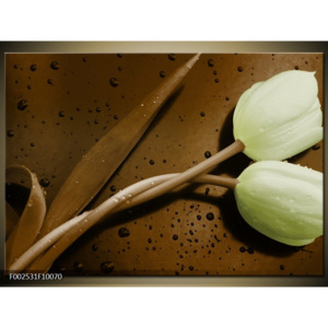 Obraz Propletené tulipány - hnědá