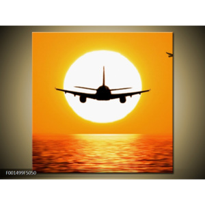 Obraz letadlo při západu slunce