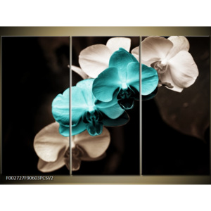 Obraz Orchideje - krémová a modrá