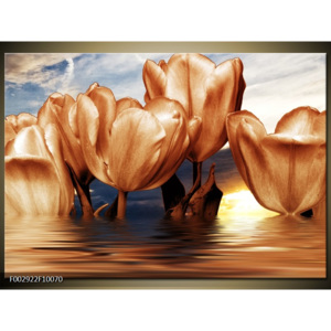 Obraz Zlaté tulipány na vodě