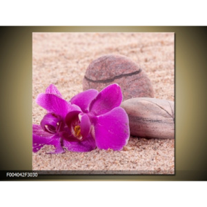 Obraz fialové květy orchidej s kameny