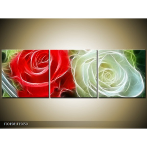 Obraz Červená a bílá růže - upravené
