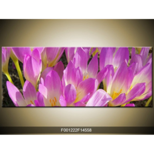 Obraz fialové květiny provance