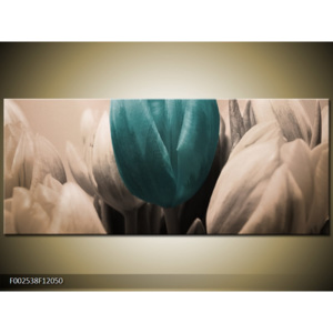 Obraz Detail tulipánů - bílá a modrá