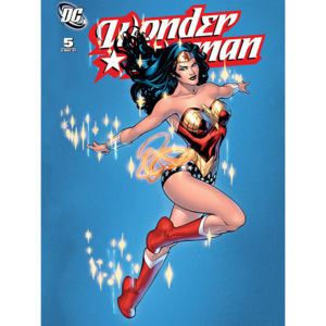 Obraz na plátně DC Comics - Wonder Woman - Sparkle, (60 x 80 cm)