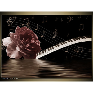 Obraz Hnědá růže a klavír