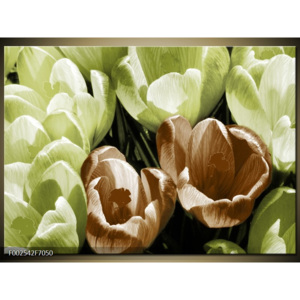 Obraz Tulipány shora 2