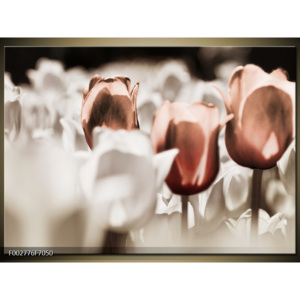 Obraz Pole tulipánů zblízka - hnědá