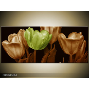 Obraz Kytice tulipánů - zelená a hnědá