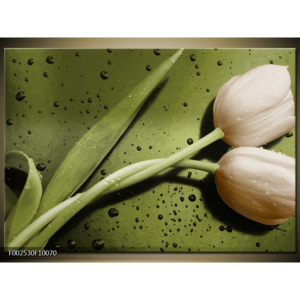 Obraz Propletené tulipány - zelená