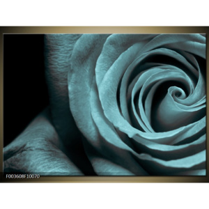 Obraz Detail šedé růže