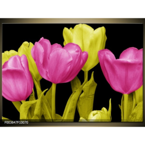 Obraz tulipány barevný mix