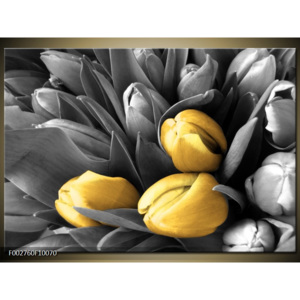 Obraz Tulipány shora - černobílá a zlatá