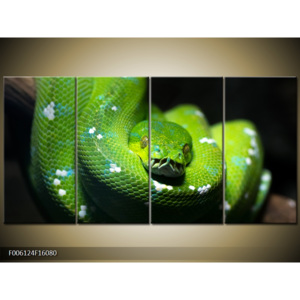 Obraz zelený had