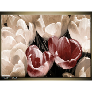 Obraz Tulipány shora - bílá a červená