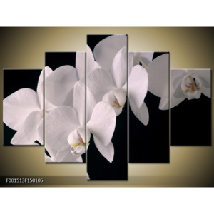 Obraz Bílé orchideje - černé pozadí