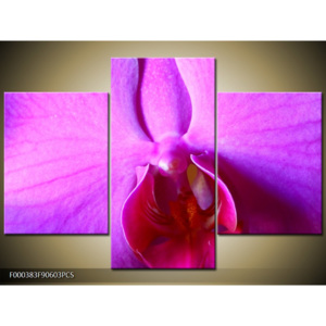 Obraz Detail orchideje