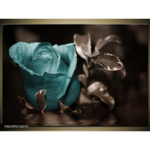 Obraz Růže tyrkysová