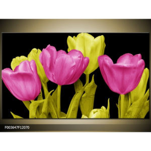 Obraz tulipány barevný mix