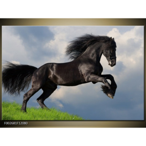 Obraz černý kůň