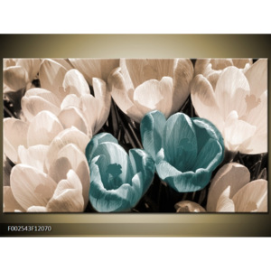 Obraz Tulipány shora - modrá a bílá