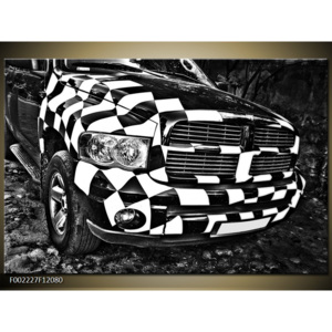 Obraz černobílé auto