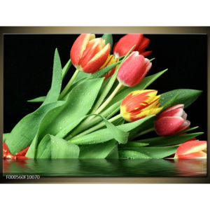 Obraz Kytice barevných tulipánů