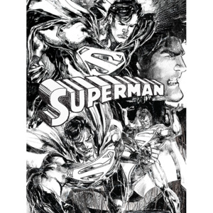 Obraz na plátně Superman - Sketch, (60 x 80 cm)