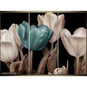 Obraz Tulipány - světle modrá