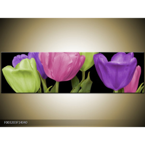 Obraz Pět tulipánů - vínová a zelená