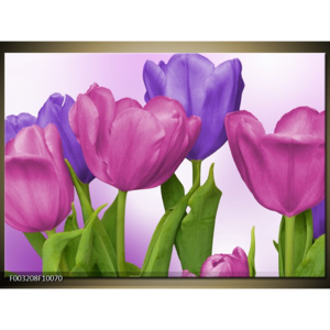 Obraz Pět tulipánů - světlé pozadí