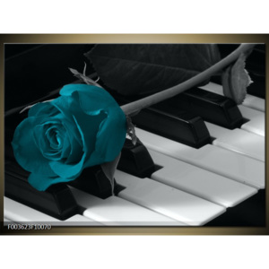 Obraz Modrá růže na klavíru