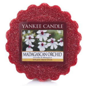Vosk Madagascan Orchid, Yankee Candle