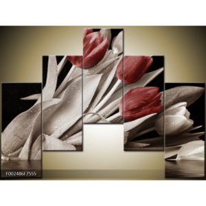 Obraz Svazek tulipánů - bílá a červená