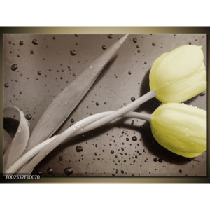Obraz Propletené tulipány - šedá