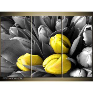 Obraz Tulipány shora - černobílá a žlutá