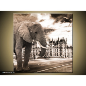Obraz london slon na ulici