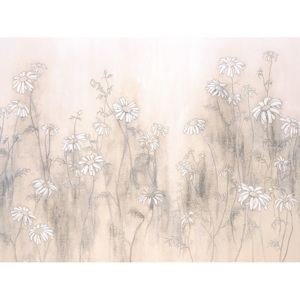 Obraz na plátně Hans Andkjaer - White Daisies, (80 x 60 cm)
