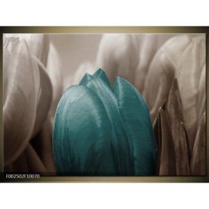 Obraz Detail tulipánů - tyrkysová