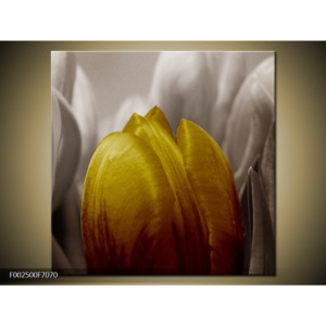 Obraz Detail tulipánů - žlutá