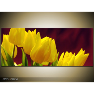 Obraz žluté tulipány