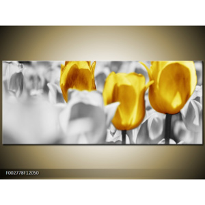 Obraz Pole tulipánů zlbízka - žlutá