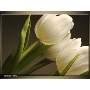 Obraz Bílé tulipány
