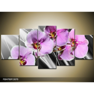Obraz fialová orchidej