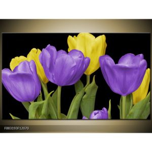 Obraz Pět tulipánů - žlutá a fialová
