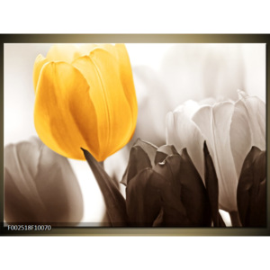 Obraz Květina z tulipánů - žlutá