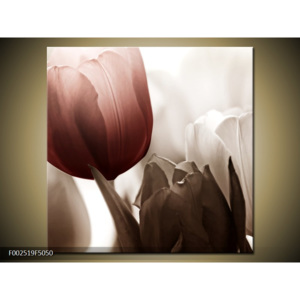Obraz Květina z tulipánů - hnědá